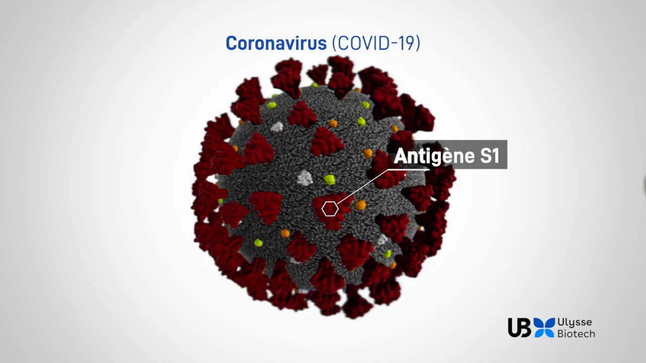 Vaccin COVID-19