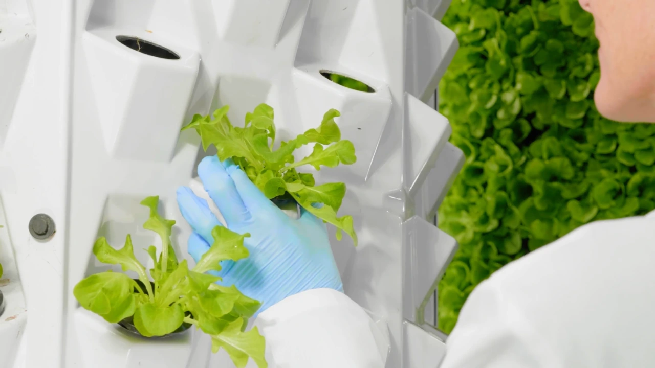 Agreo Jardin Rotatif - La culture aéroponique qui élève les standards - Vidéo de commercialisation